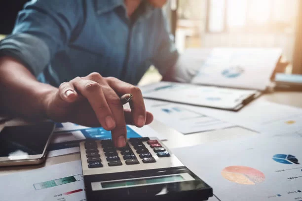 ANM accounting professional consulting with a South African business owner